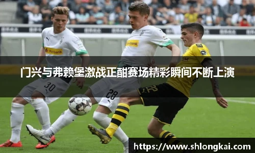 门兴与弗赖堡激战正酣赛场精彩瞬间不断上演